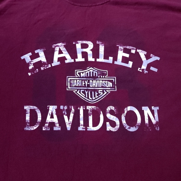 2010s Y2K Harley Davidson Motorcycles  Men's SZ XL Biker TShirt - Picture 5 of 7